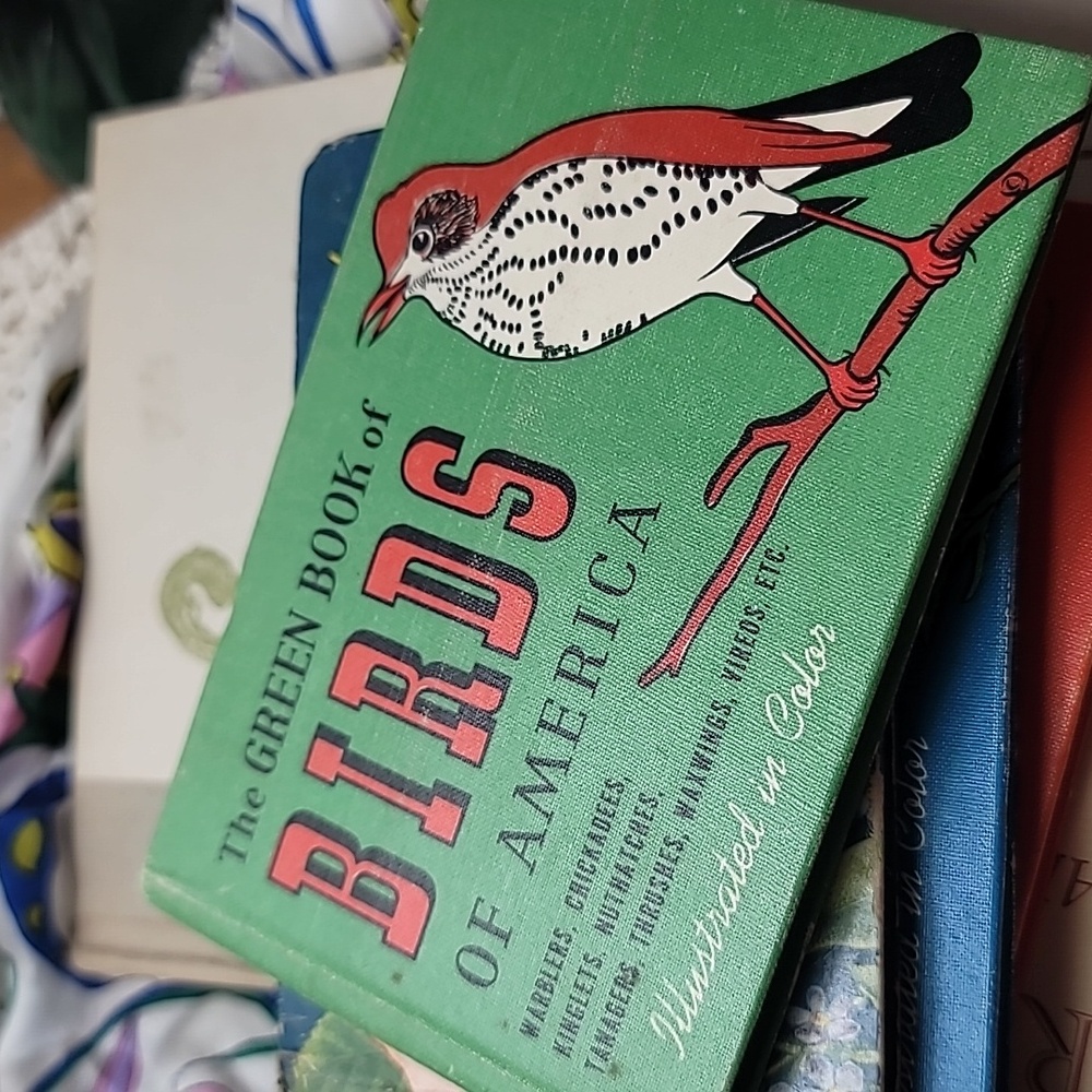 The Green Book of Birds of America